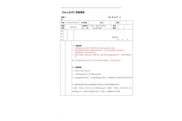 实验报告评语