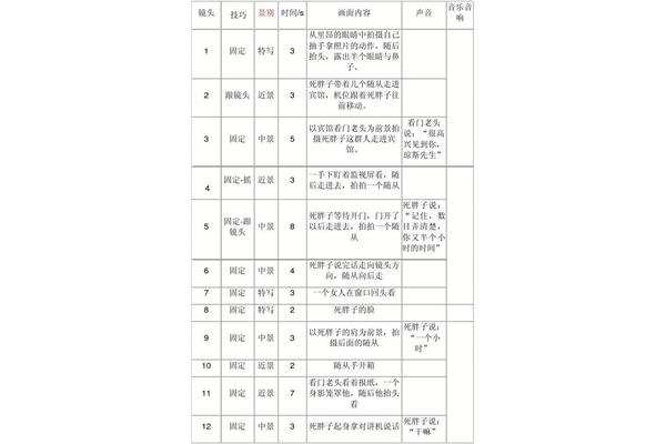 分镜头剧本
