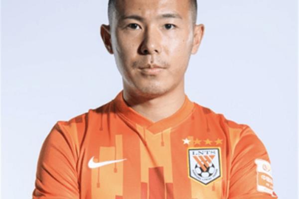 鲁能集团有限公司