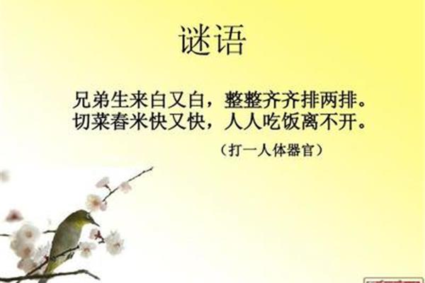关于牙齿的谜语