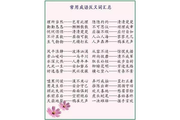 方法的近义词