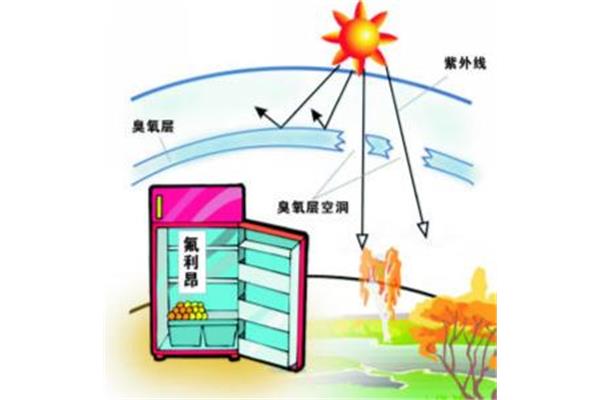臭氧层在哪一层