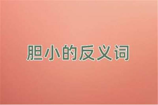 胆怯反义词