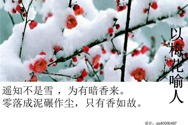 古诗中的雪