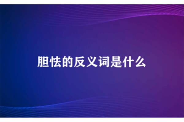 胆怯反义词