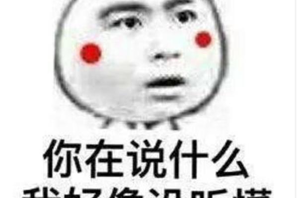不走寻常路下一句
