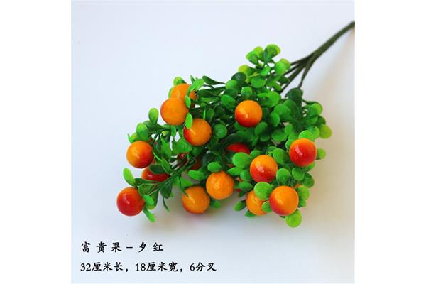 富贵果图片