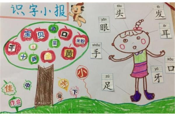 一年级识字小报
