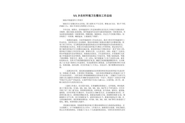 环境整治工作总结