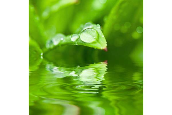 我是一滴水