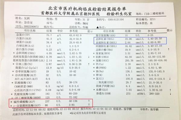 胆红素正常值范围