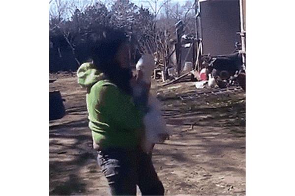 欧美人与兽