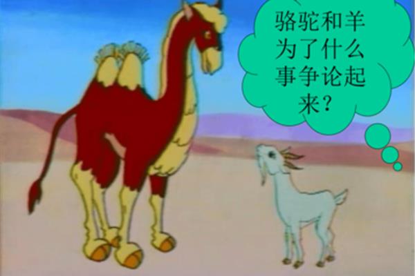 骆驼和羊的故事