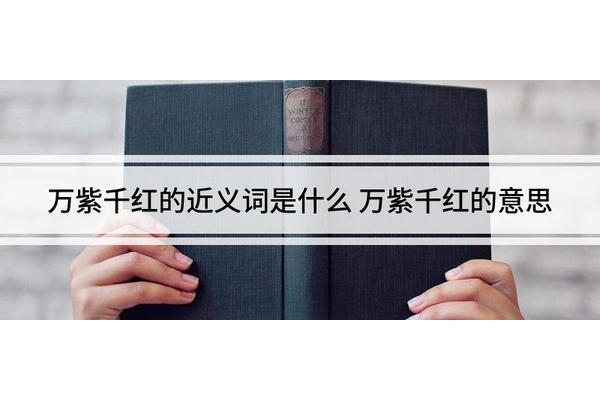 五彩缤纷的近义词