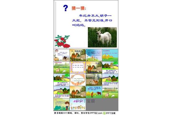 骆驼和羊的故事