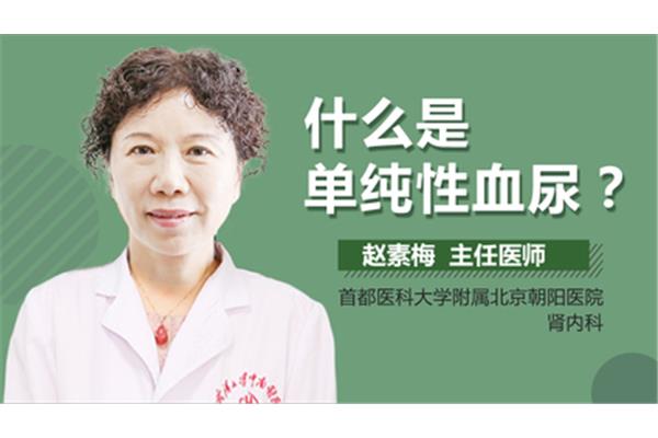 单纯的意思