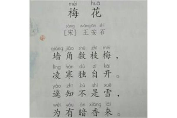梅花古诗带拼音