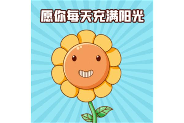 向日葵观察日记