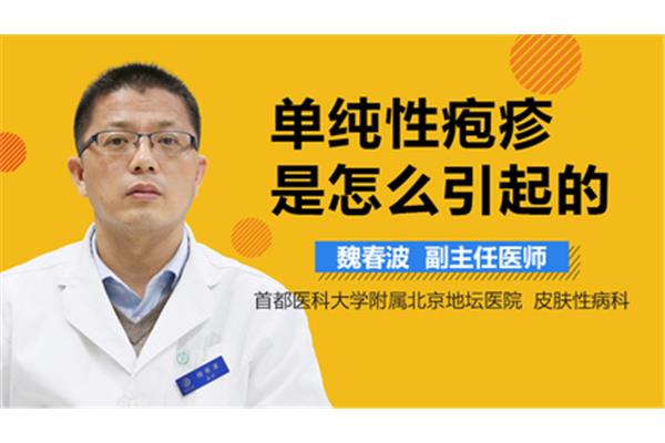 单纯的意思