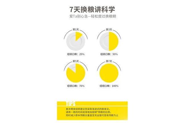 八月的英语单词