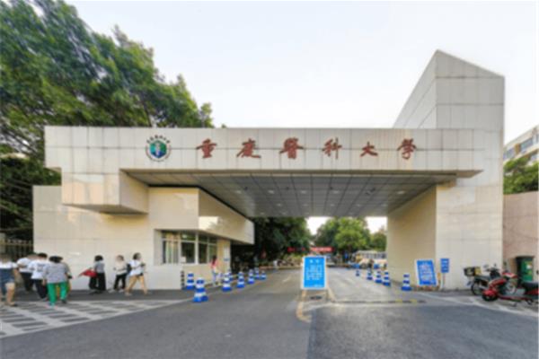 二本医科大学