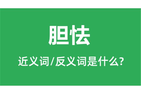 胆怯反义词