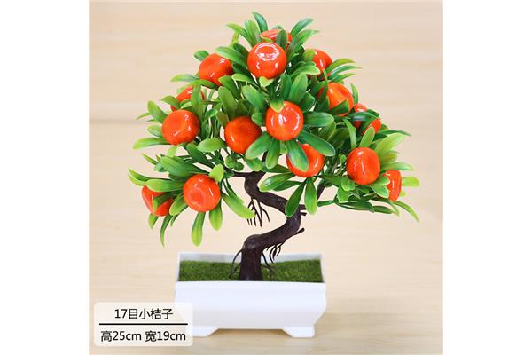 富贵果图片