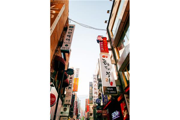 韩国最好的大学