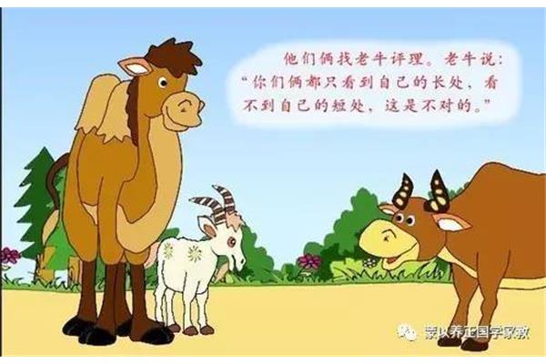 骆驼和羊的故事