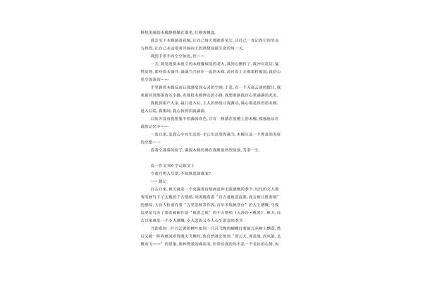 作文800字