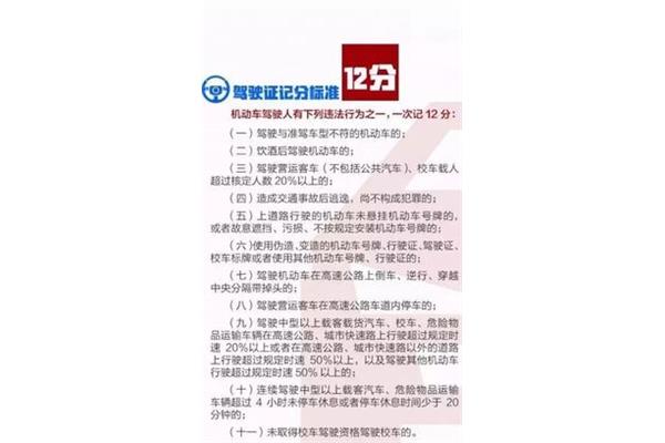驾驶证积分查询