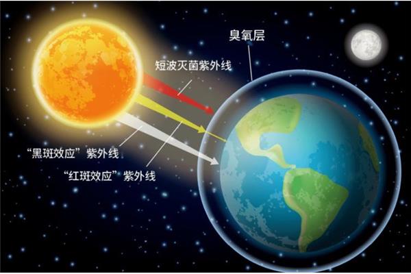 臭氧层在哪一层