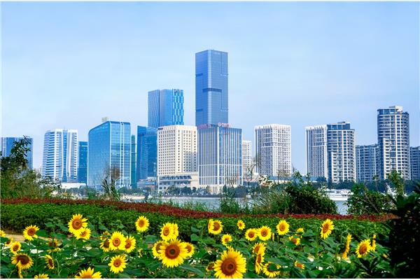 美丽的城市