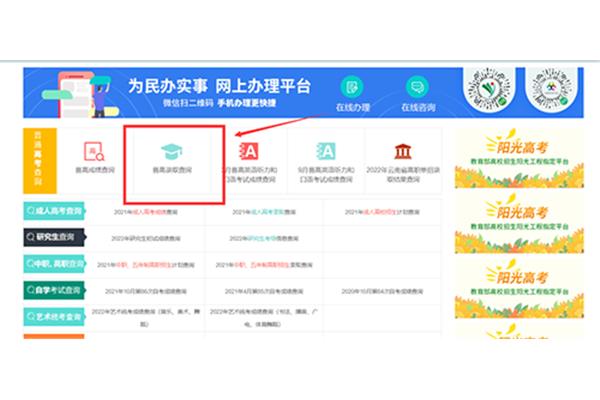 云南省招考频道