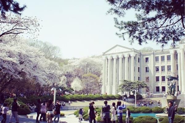 韩国最好的大学