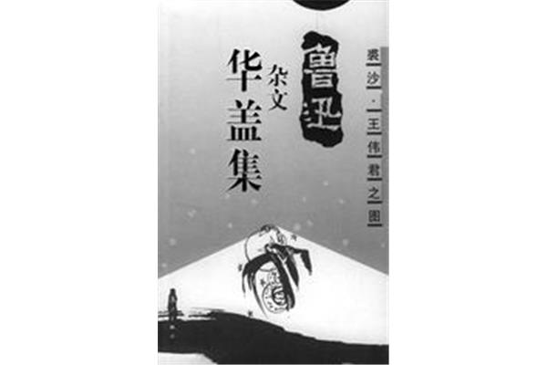 鲁迅杂文集读后感