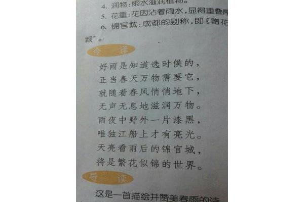 春夜喜雨的诗意