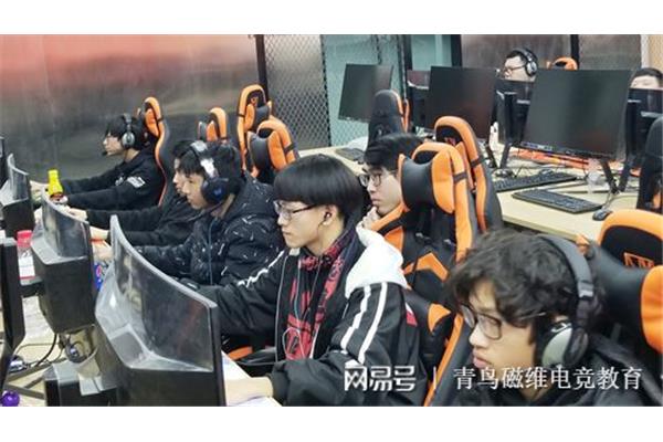 电竞学校报名