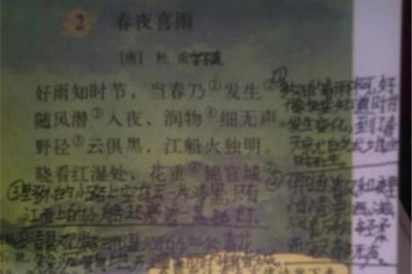 春夜喜雨的诗意