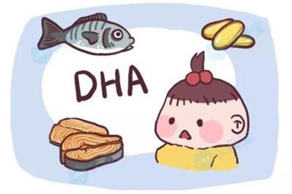 含有dha的食物
