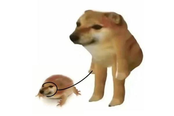 情的笔顺是
