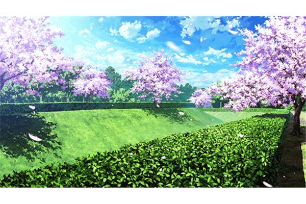春天的景色作文