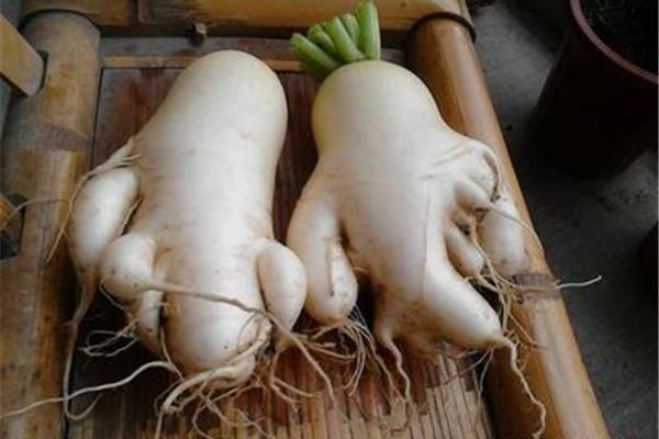 枯燥无味的意思