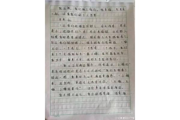 作文十年后的我