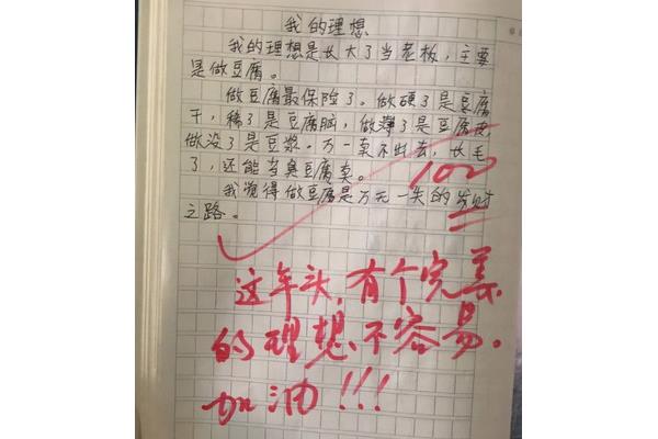 作文100字
