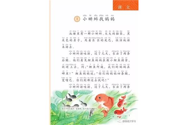 小蝌蚪找妈妈原文