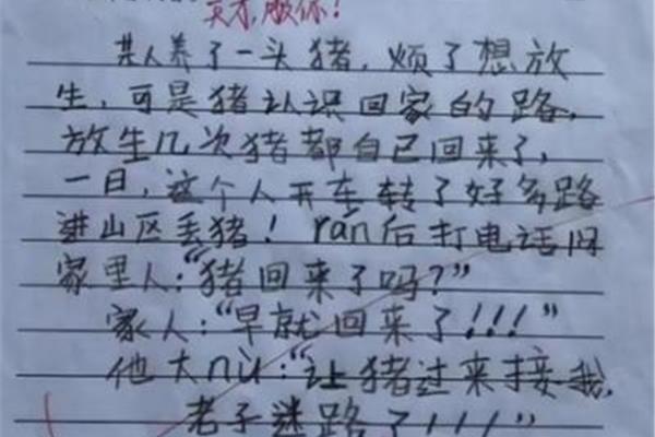 关于责任的题目