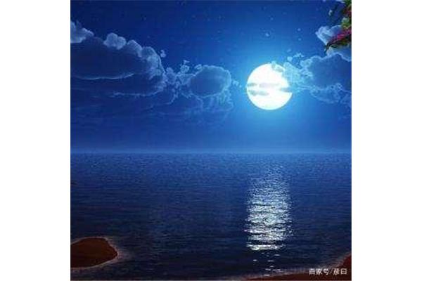 蟾蜍蚀圆影