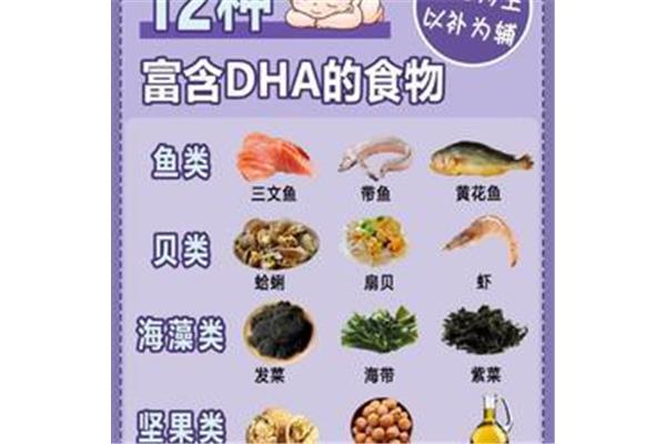 含有dha的食物