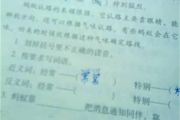 打击的近义词